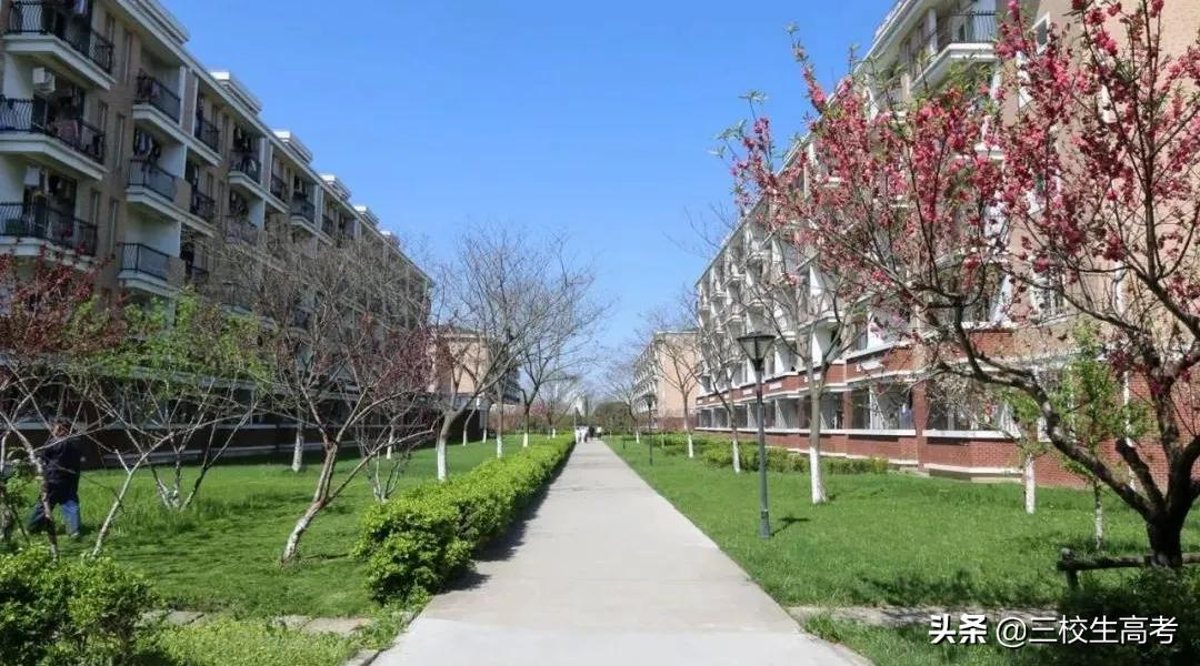 上海立达专升本报名条件,立达学院游学