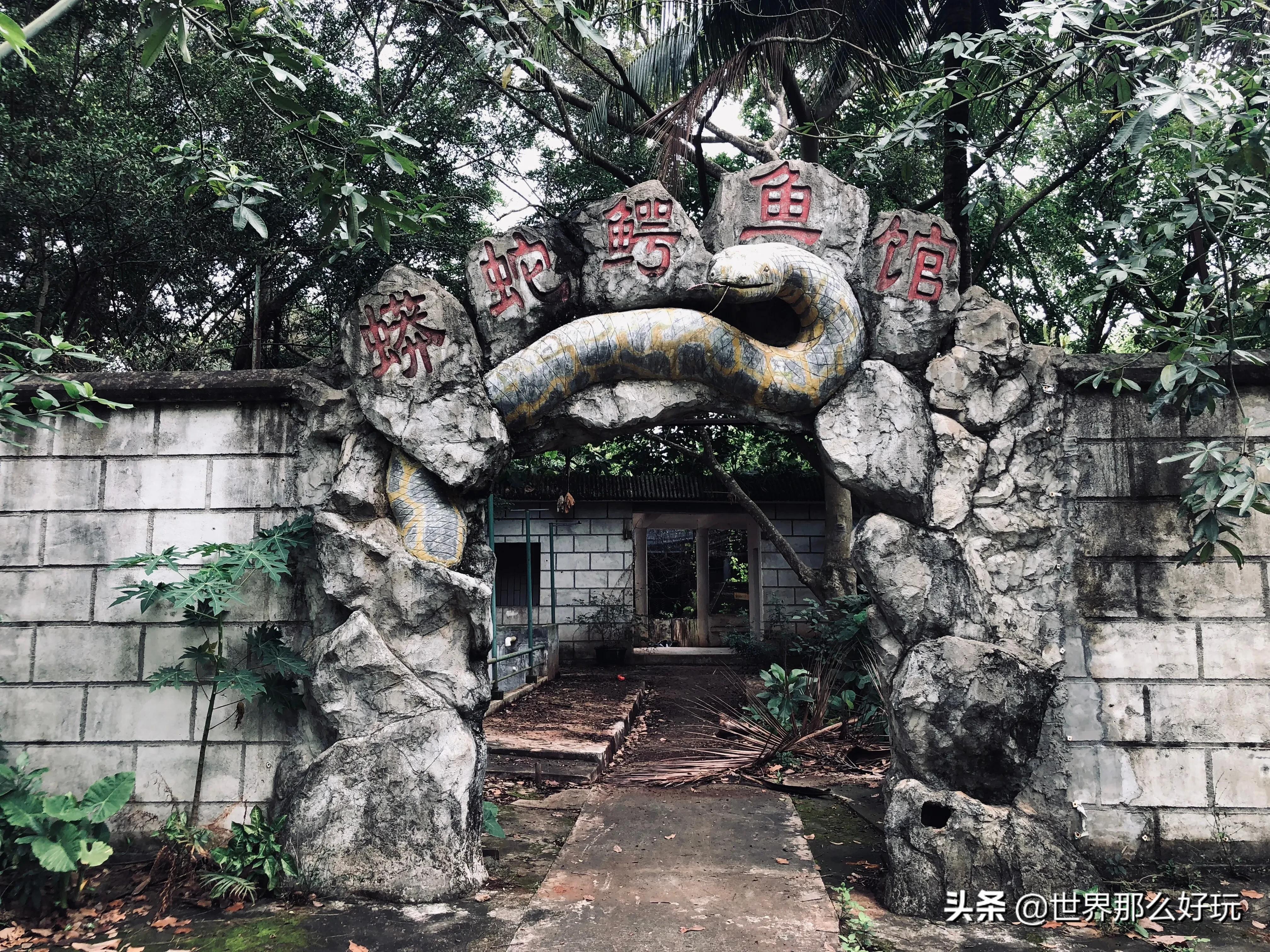 海南金牛岭动物园视频,海口金牛岭公园现在还有动物园吗