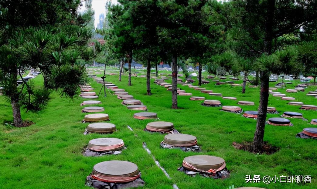 河北省第一名酒,河北第一名酒