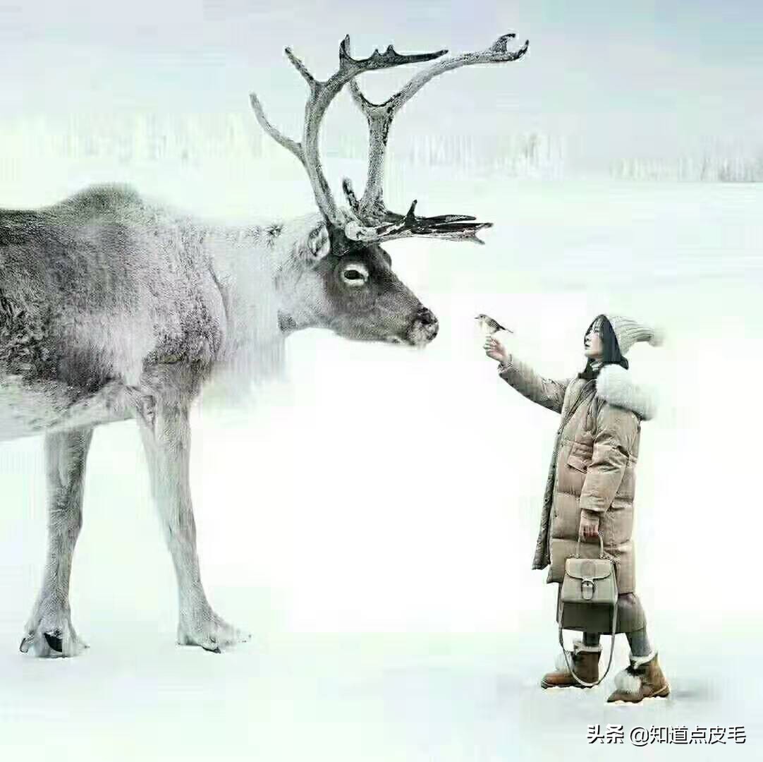 小众时尚坡跟雪地靴,时尚亮面皮毛一体雪地靴