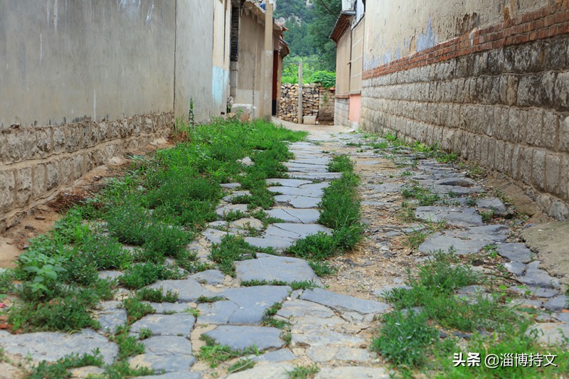 瑙︽懜涔℃剚鍙よ瘲鍥剧墖,瑙︽懜涔℃剚