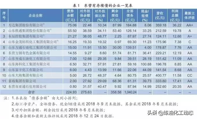 山东地炼厂停产了吗,山东大海集团破产