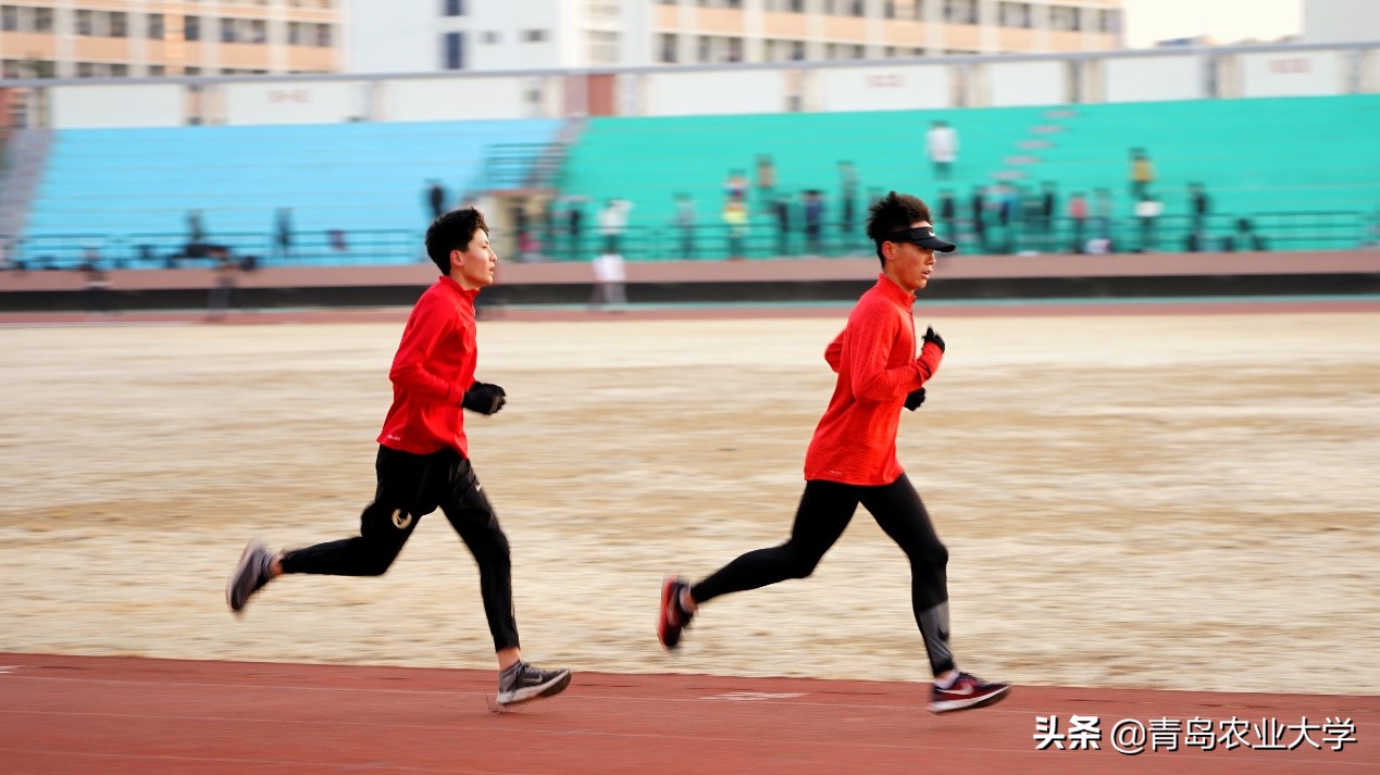 介绍青岛农业大学,令人心动的青岛