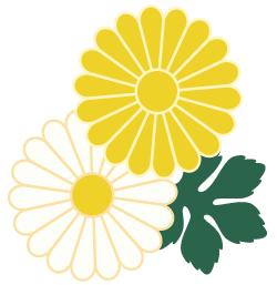 景福镇岔河村,美丽乡村岔河村