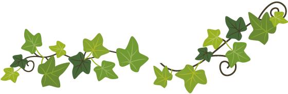 伊利互联网转型,伊利乳业发展历程