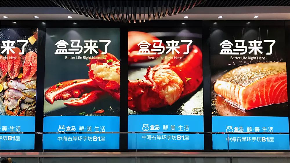 四环外开了家盒马，整个剑南大道的人都去凑热闹了