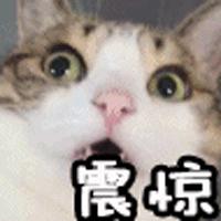 遂宁市天盛建筑装饰,遂宁天盛装饰