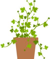 坚持“晨讲晚练”，这所师范学院不一般