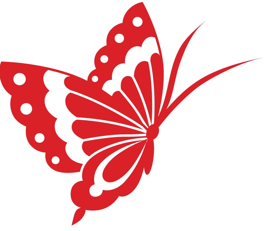 白银市共青团工作,金昌市共青团名单