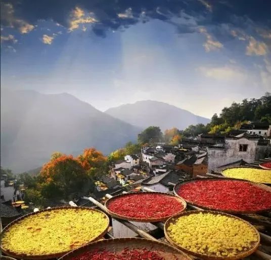 关于重阳节的一些信息,又到重阳