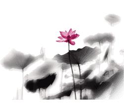 庆祝中国旅游日,浙江义乌惠民礼包