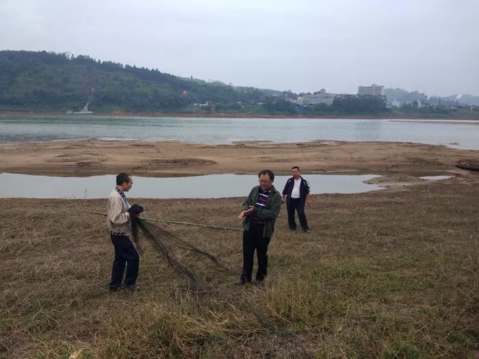 10月15日起至12月31日止，城市路桥通行年费可办理退款