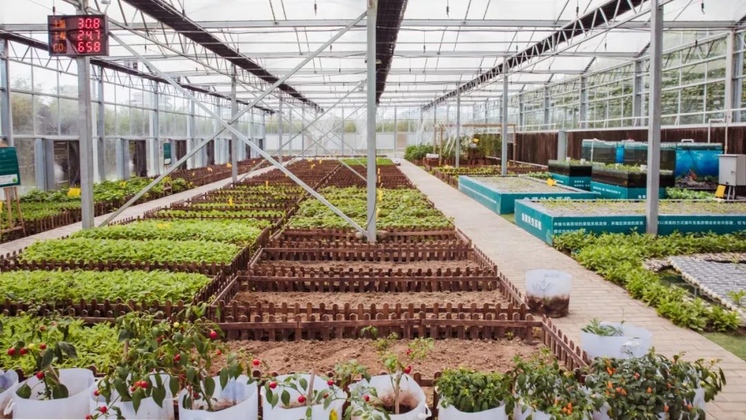 三亚豪华无边泳池别墅,三亚温泉度假