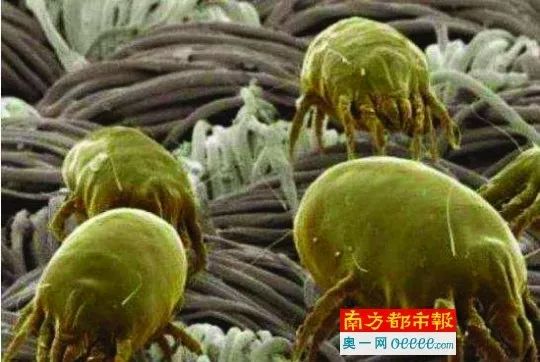 喝了一口椰子汁死掉了,喝椰汁死亡案例