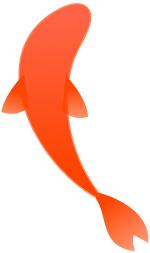 18年的锦鲤活动有哪些,锦鲤活动什么时候开始