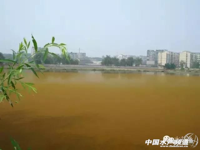 养殖水体有黄铁锈如何解决,养殖锈水处理