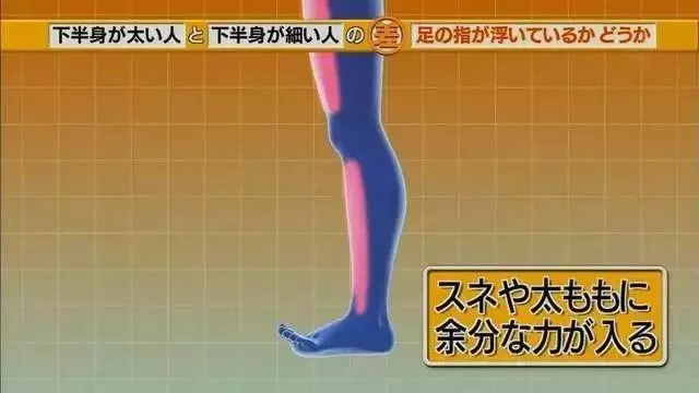 脚小腿粗怎么减肥最快最有效,日本改善腿型方法