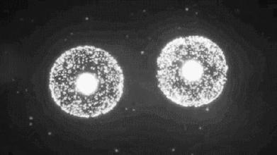 国际干细胞再生医学,国际干细胞攻克精神疾病
