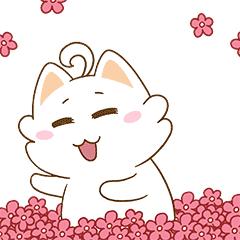 云南车友电子加油券,四川车主怎么领取优惠加油券