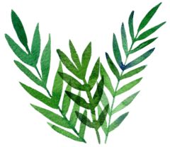 水痘高发期2019,关于水痘高发期的注意事项