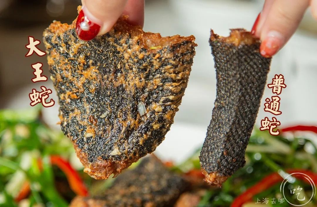 开了23年的黑料界大佬疯了！YSL、TF、Dior大牌口红免费抓！