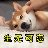 别了绿皮火车,纸质火车票真的取消了吗