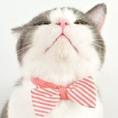 水肿病人采血技巧,水肿患者怎么静脉采血视频