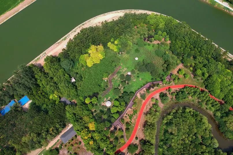 阿拉看环境｜“城市森林中的小生灵”申城有群特殊居民