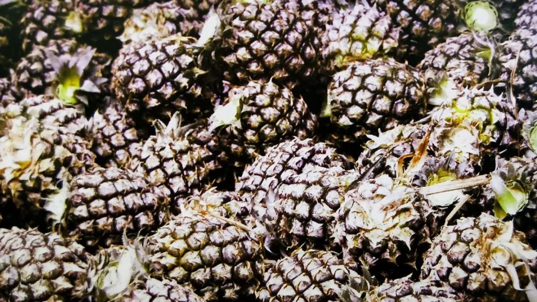 「推荐」刷屏！这是我眼中的边境河口