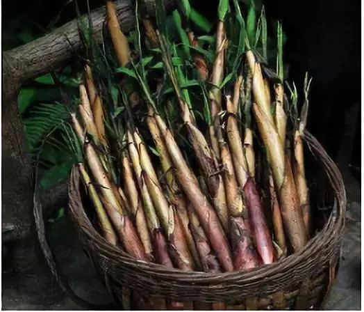 1036有礼啦!花开两岸,柿柿如意——10月20号自驾游报名啦!