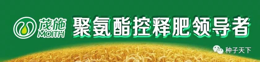 玉米接连下跌！还要谨防卖粮被骗！不过国家队要出手收玉米了！