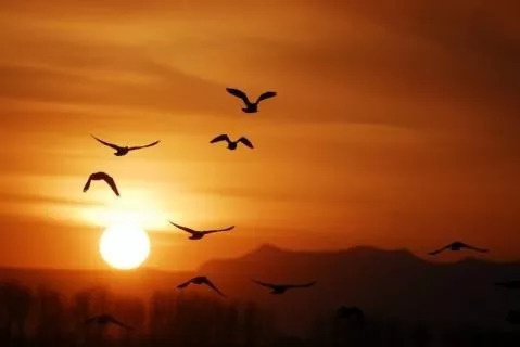 重阳节的过节故事,小时候重阳节的故事