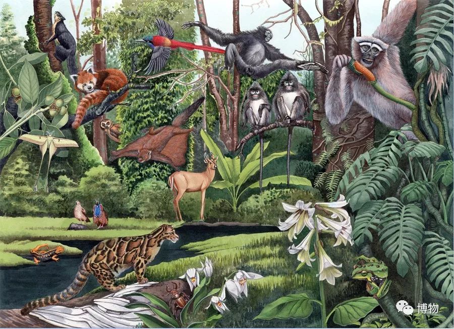 想跟博物一起外出采风？春节我们滇西见