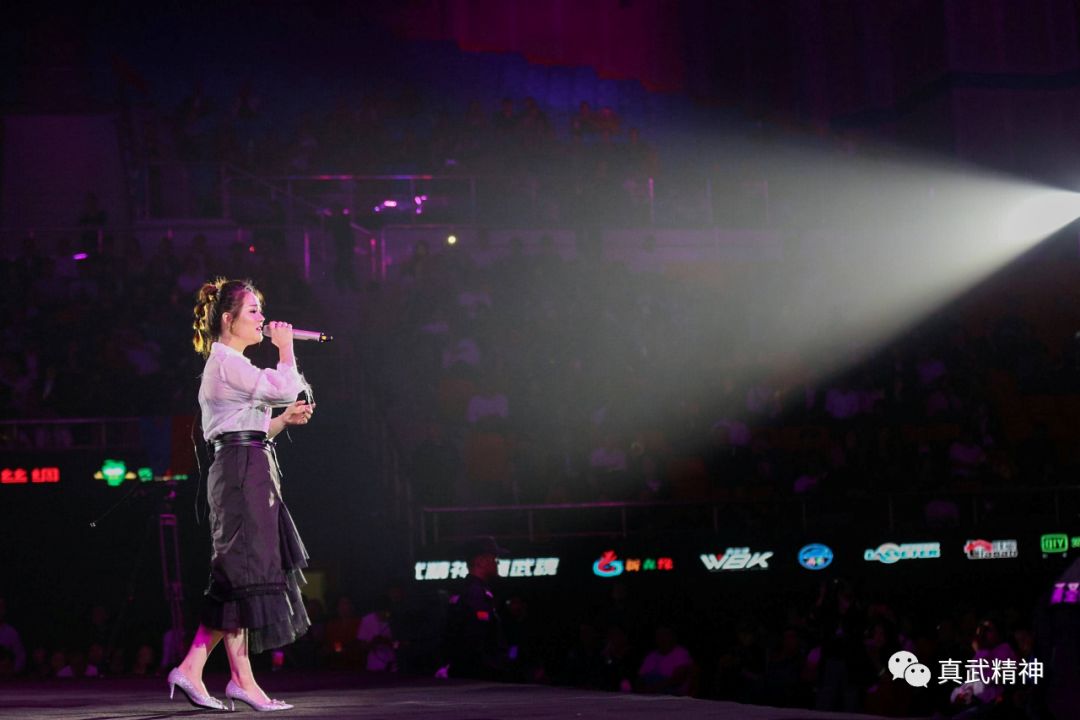 真武魂英雄出击,真武魂冠军