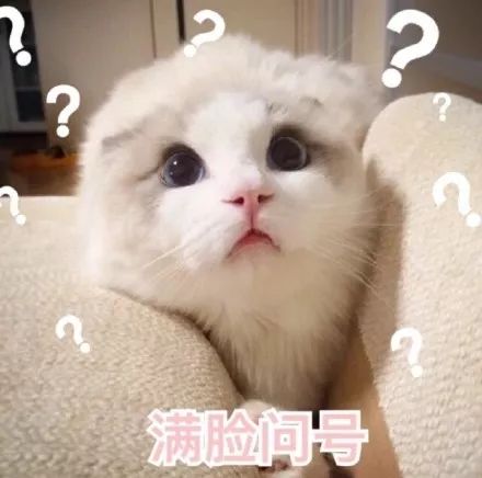 锦鲤的隐藏套路,中国锦鲤隐藏套路