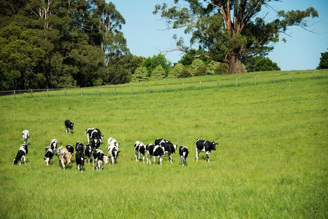 苏宁小店生鲜订单,苏宁小店生鲜