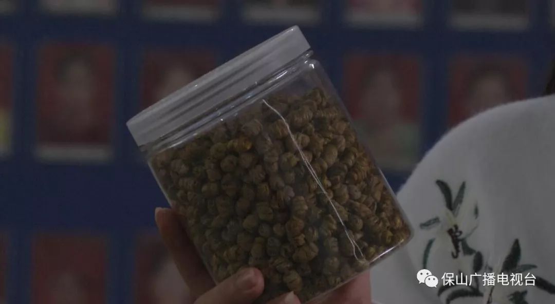 龙陵石斛产业合作,龙陵镇石斛