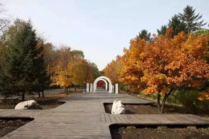 一至七级辅警工资表黑龙江辅警,黑龙江省辅警工资3500