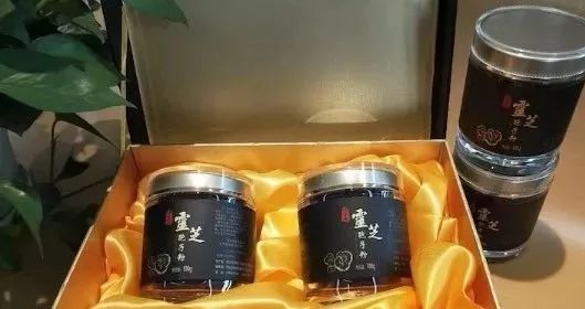 选一棵树看看你什么性格,选一棵树看性格