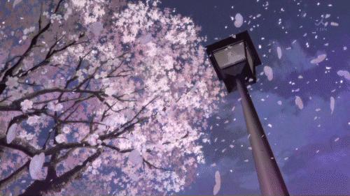 合肥植物园2024什么时候免费开放,合肥植物园今天进园是否要预约