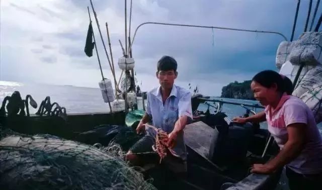 活动｜双11除了买买买，还要去涠洲岛赶赴一场如约的民俗盛会哦！