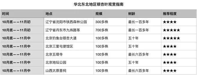 深秋赏银杏图片,金秋银杏观赏