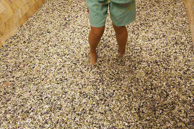 「992｜暖心」听说，重阳节80%的人都将带家人去这里！家有老人，门票限时0元！