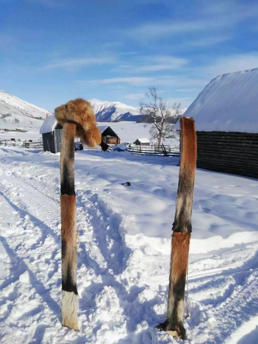 疆内客运最新消息,疆内列车最新消息
