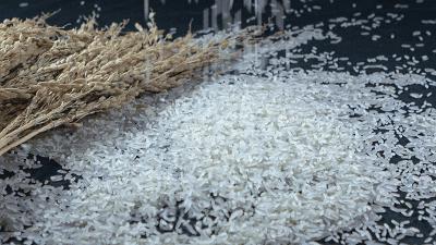 瀹ｆ仼鏃呮父浼樻儬,瀹ｆ仼鏃呮父璐墿鎺ㄨ崘