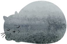 北师大二附中教育集团,北师大二附中联手三附培优