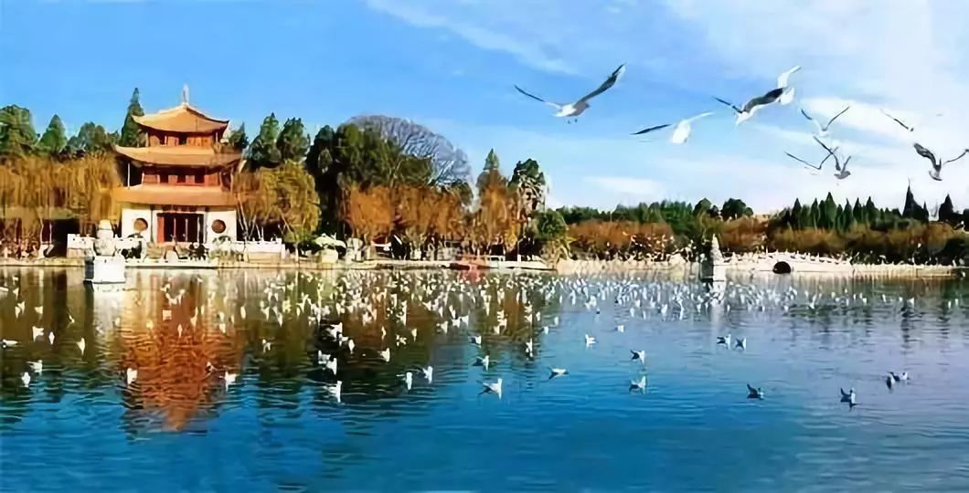 昆明首创奥莱地址,昆明将建100个中心公园名单