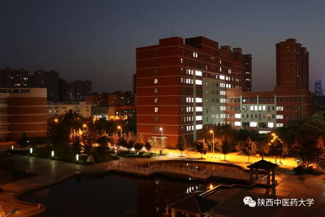 陕中大最火的这几款色号，你种草了么？