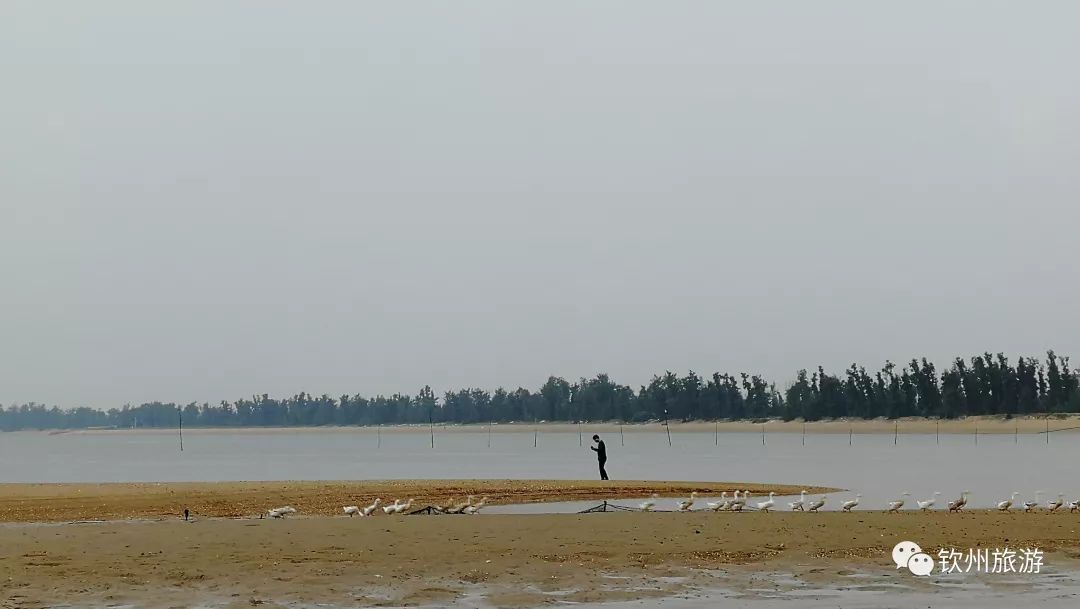 我们一起赶海,赶海攻略北戴河9月份赶海时间表