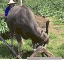 开心一笑每日一笑,笑一笑烦恼消